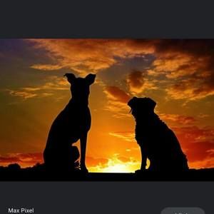 Meet your Posher, Keith